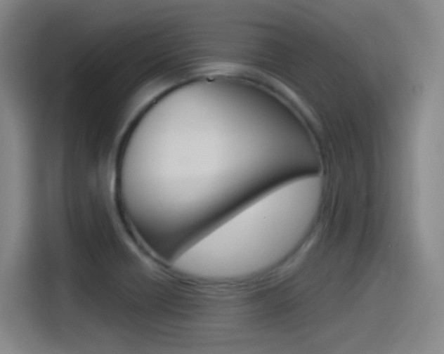 X0000114551418200910190942
