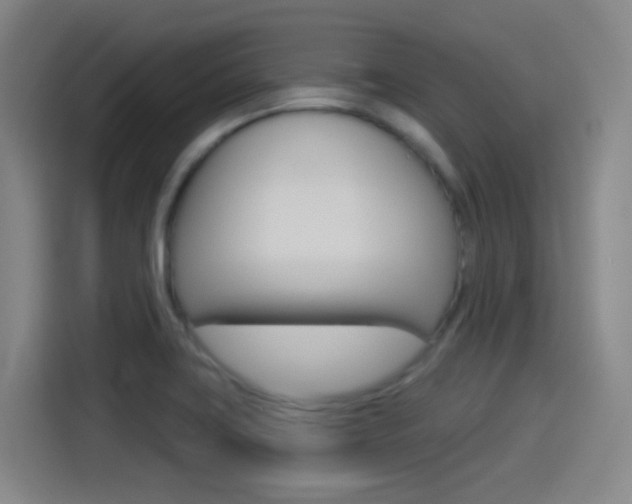 X0000114551419200910190942