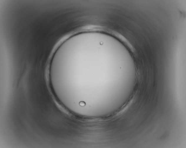 X0000114551421200910190942