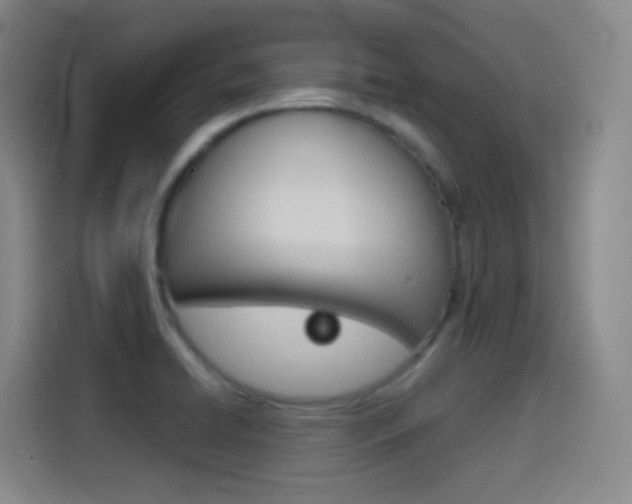 X0000114551422200910190942