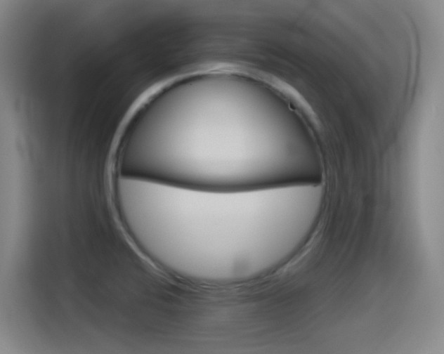 X0000114551424200910190942