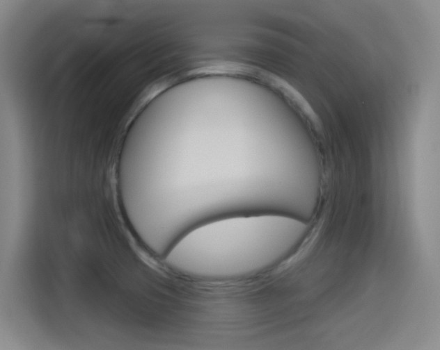 X0000114551425200910190942