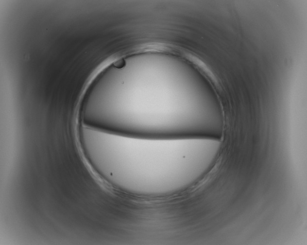 X0000114551426200910190942