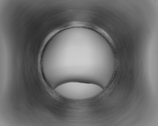 X0000114551427200910190942