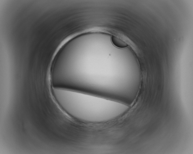 X0000114551428200910190942