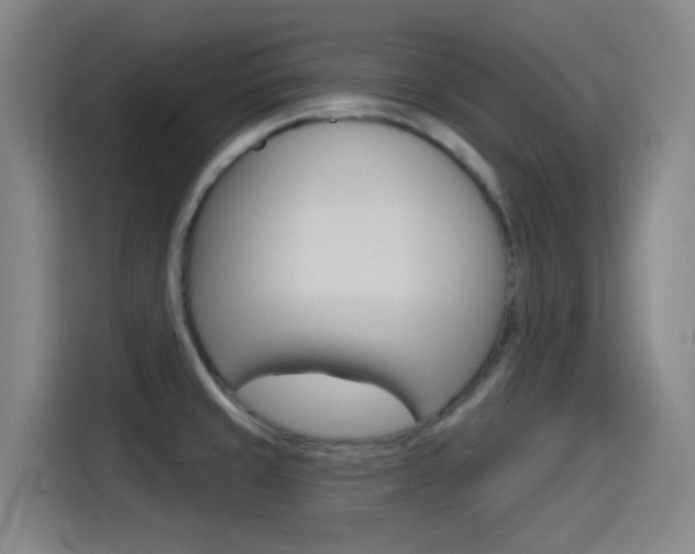 X0000114551429200910190942