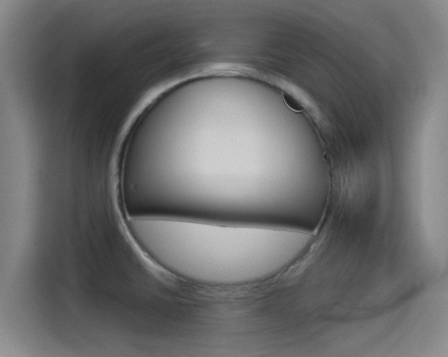 X0000114551430200910190942