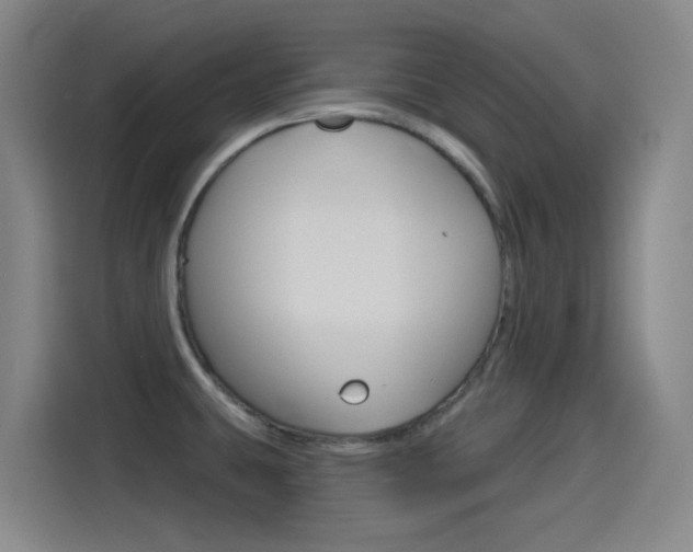 X0000114551431200910190942