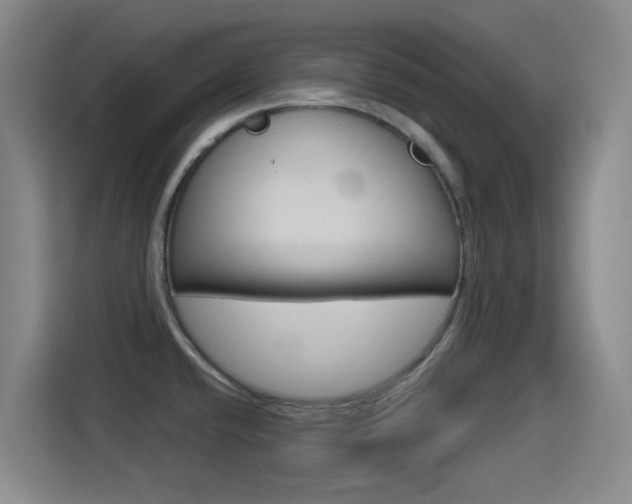 X0000114551432200910190942