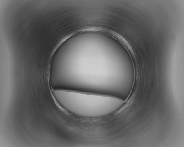 X0000114551433200910190942