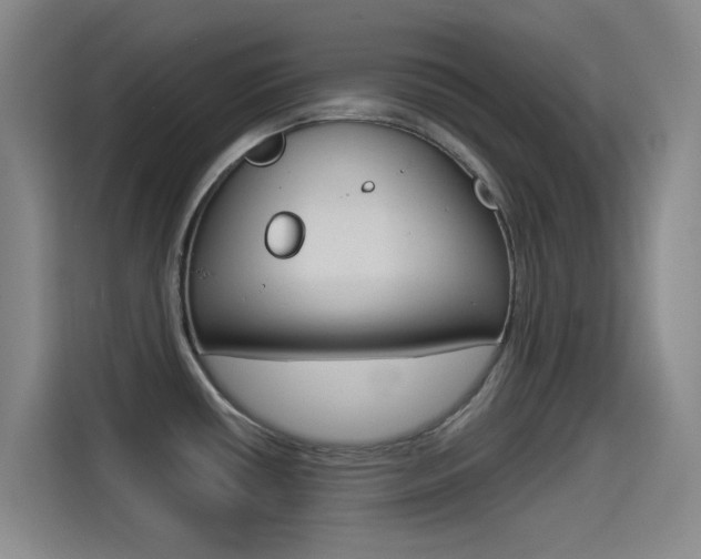X0000114551434200910190942