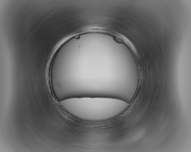 X0000114551435200910190942