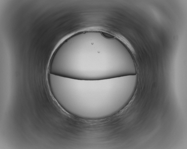 X0000114551436200910190942