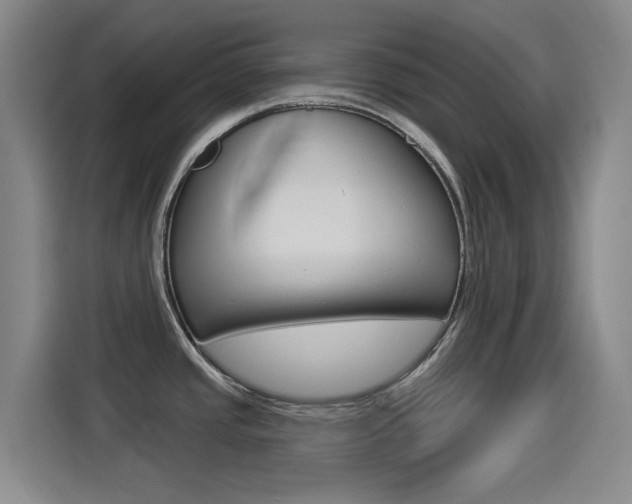 X0000114551437200910190942
