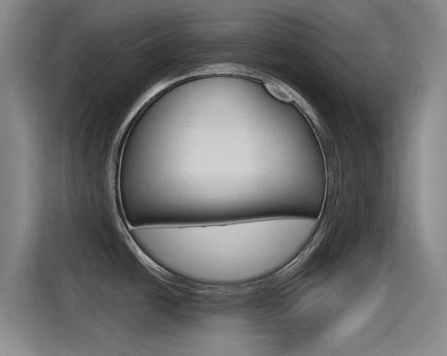 X0000114551438200910190942