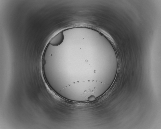 X0000114551439200910190942