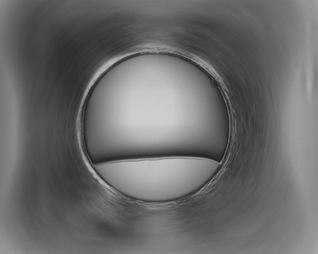 X0000114551440200910190942