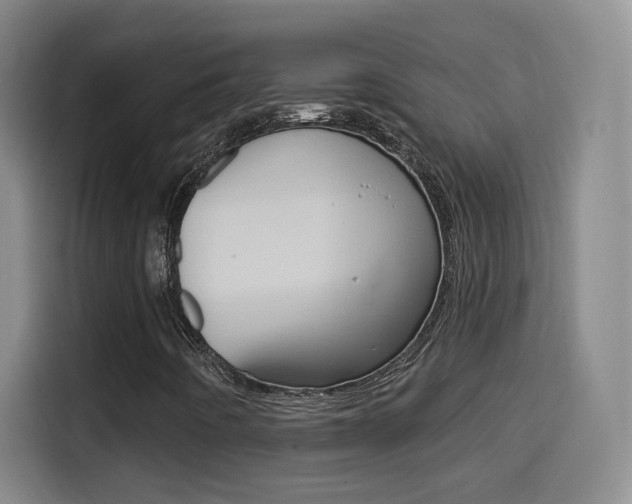 X0000114551442200910190942