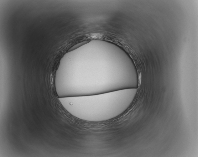 X0000114551443200910190942