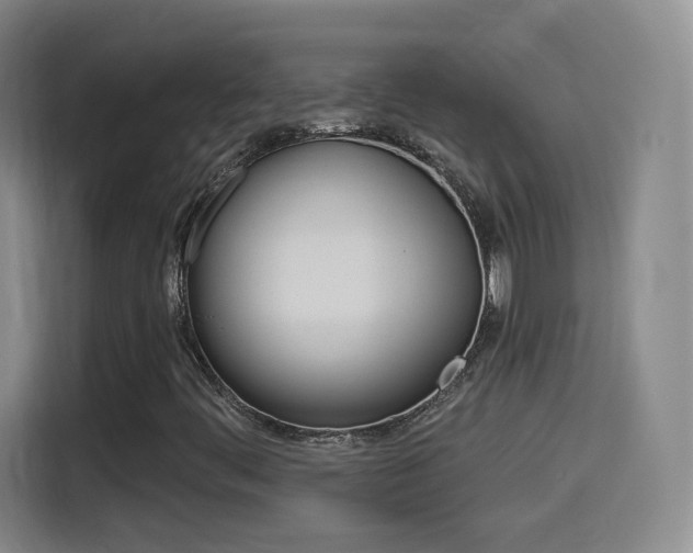 X0000114551444200910190942