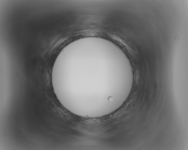 X0000114551446200910190942