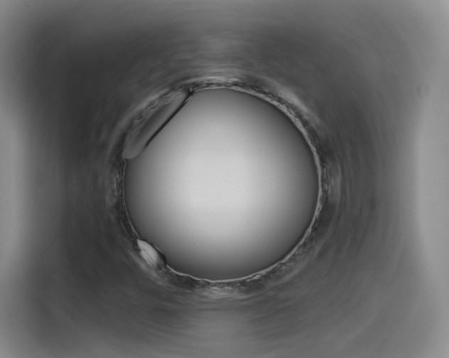 X0000114551448200910190942