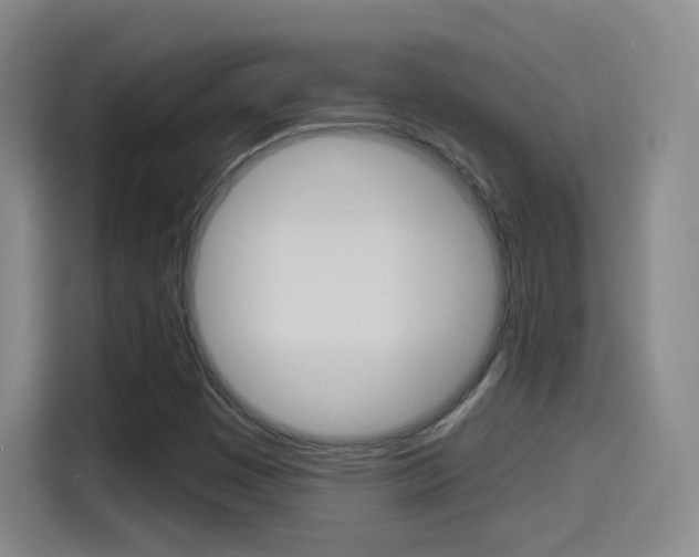 X0000114551449200910190942
