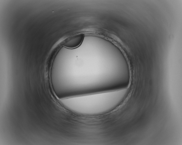 X0000114551450200910190942