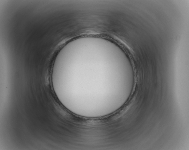 X0000114551451200910190942