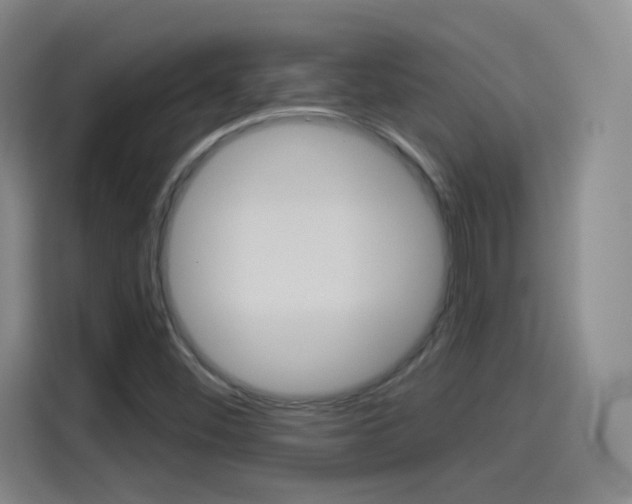 X0000114551452200910190942