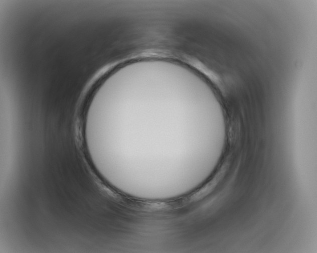 X0000114551454200910190942