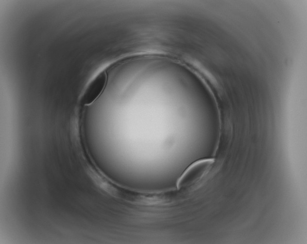 X0000114551460200910190941