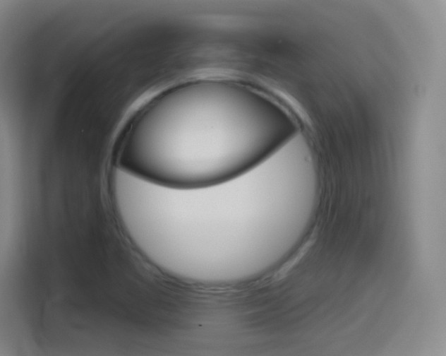 X0000114551461200910190941