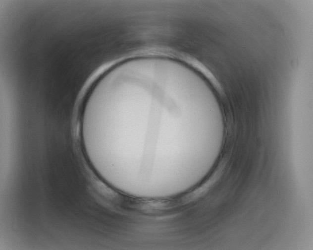 X0000114551462200910190941