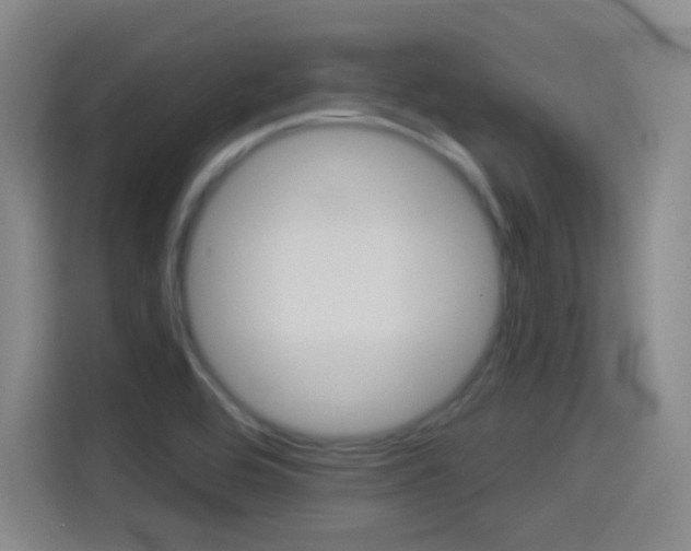 X0000114551464200910190941