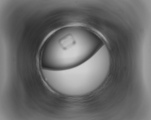 X0000114551468200910190941