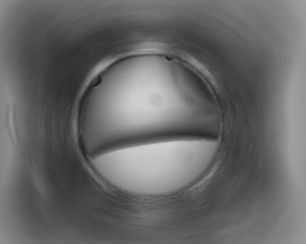 X0000114551469200910190941