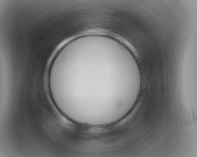 X0000114551470200910190941