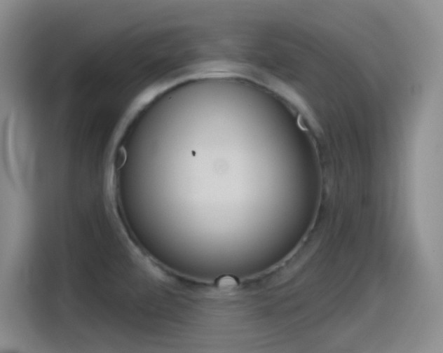 X0000114551472200910190941