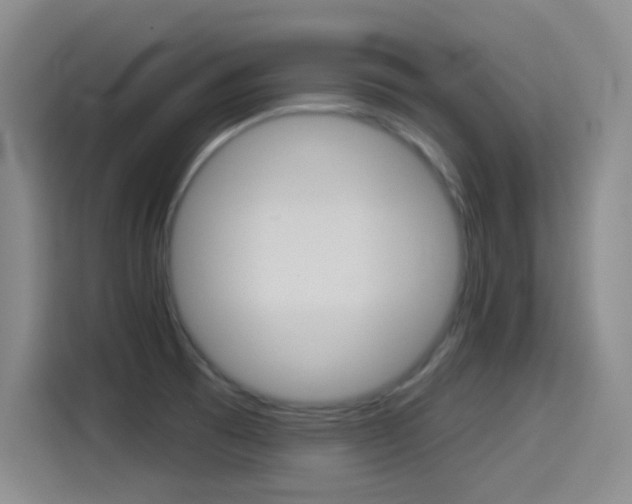 X0000114551473200910190941