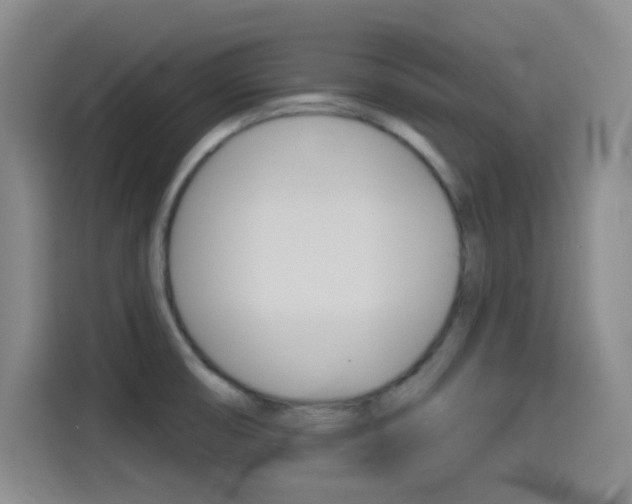 X0000114551474200910190941