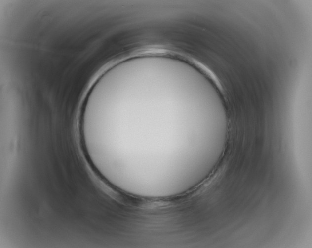 X0000114551475200910190941