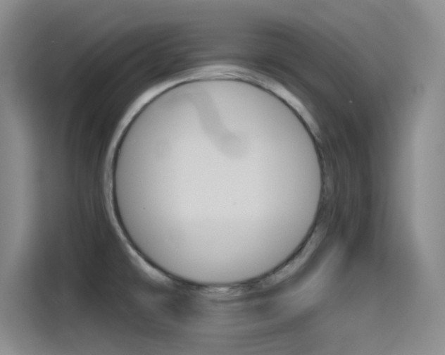 X0000114551478200910190941