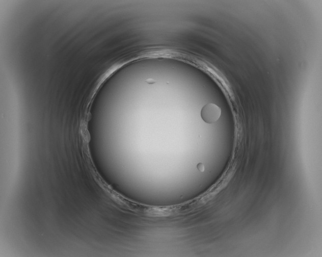 X0000114551481200910190941