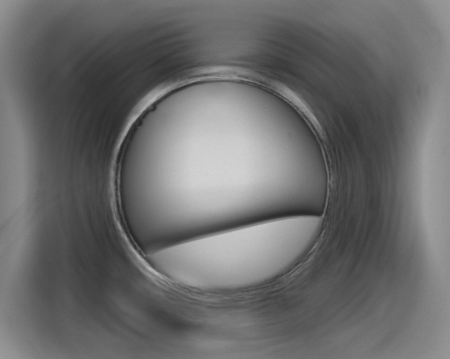 X0000114551482200910190941