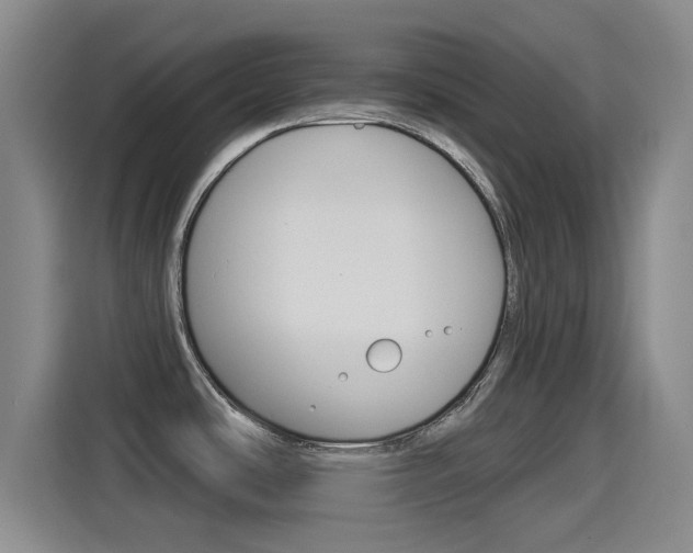 X0000114551486200910190941