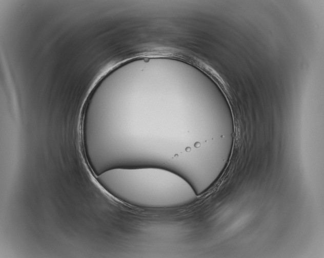 X0000114551487200910190941