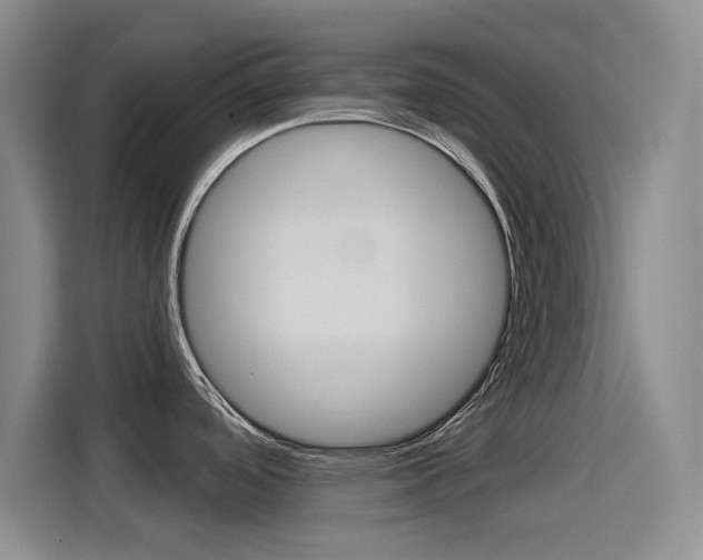X0000114551488200910190941