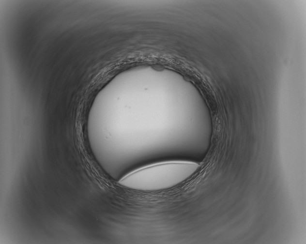 X0000114551489200910190940