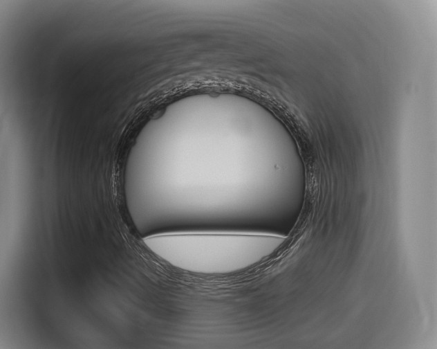 X0000114551490200910190941